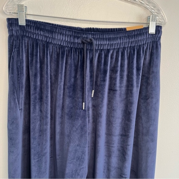 NWT Pink Womens Velvet Heritage Pull On Pants Blue Drawstring Loungewear Sz L - Picture 2 of 13